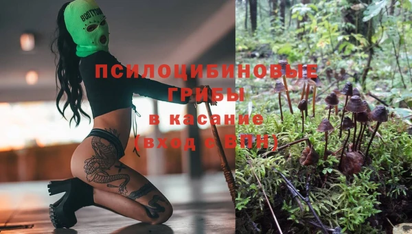 ALPHA PVP Медногорск