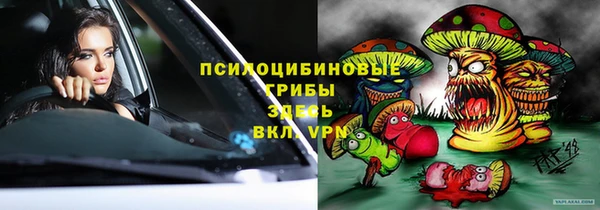 2c-b Медвежьегорск